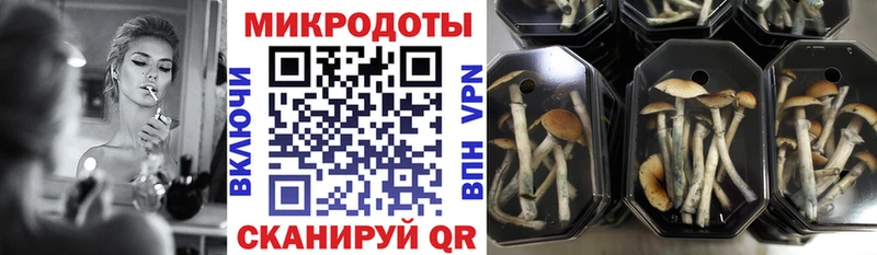 omg рабочий сайт Куйбышев Псилоцибиновые грибы ЛСД наркотики